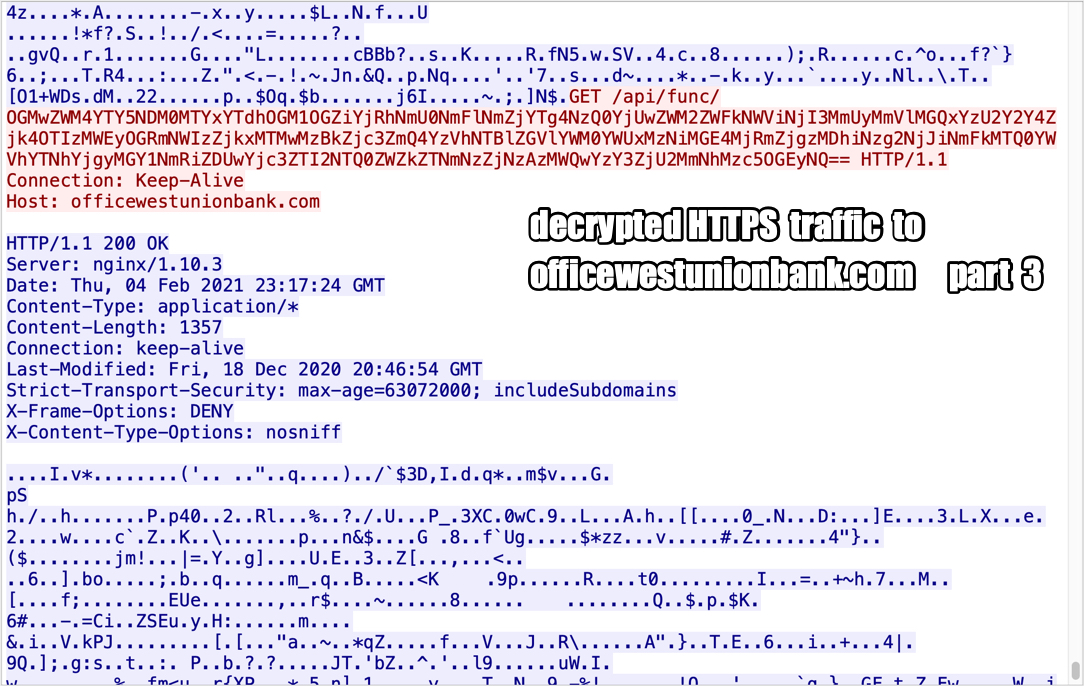 Malware Traffic Analysis Net 21 02 04 Thursday Rig Ek Sends Possible Buerloader